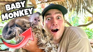 I BOUGHT A NEW BABY MONKEY ! CUTE !! by Landon Scherr 7,087 views 7 months ago 9 minutes, 48 seconds