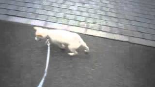 20100701-2.mp4