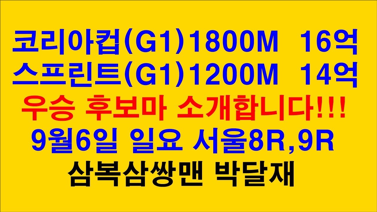 #경마예상#코리아컵#코리아스프린트#우승후보마 소개#삼복삼쌍맨#박달재#경마 분석 전문 채널#복병마 발굴#정확한 분석#전개포인트 제시