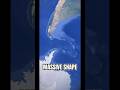 GOOGLE Earth Found The LEVIATHAN …?