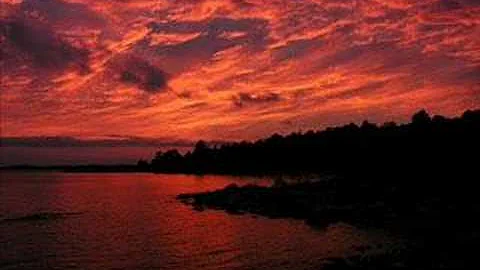 One Step Forward - Desert Rose Band