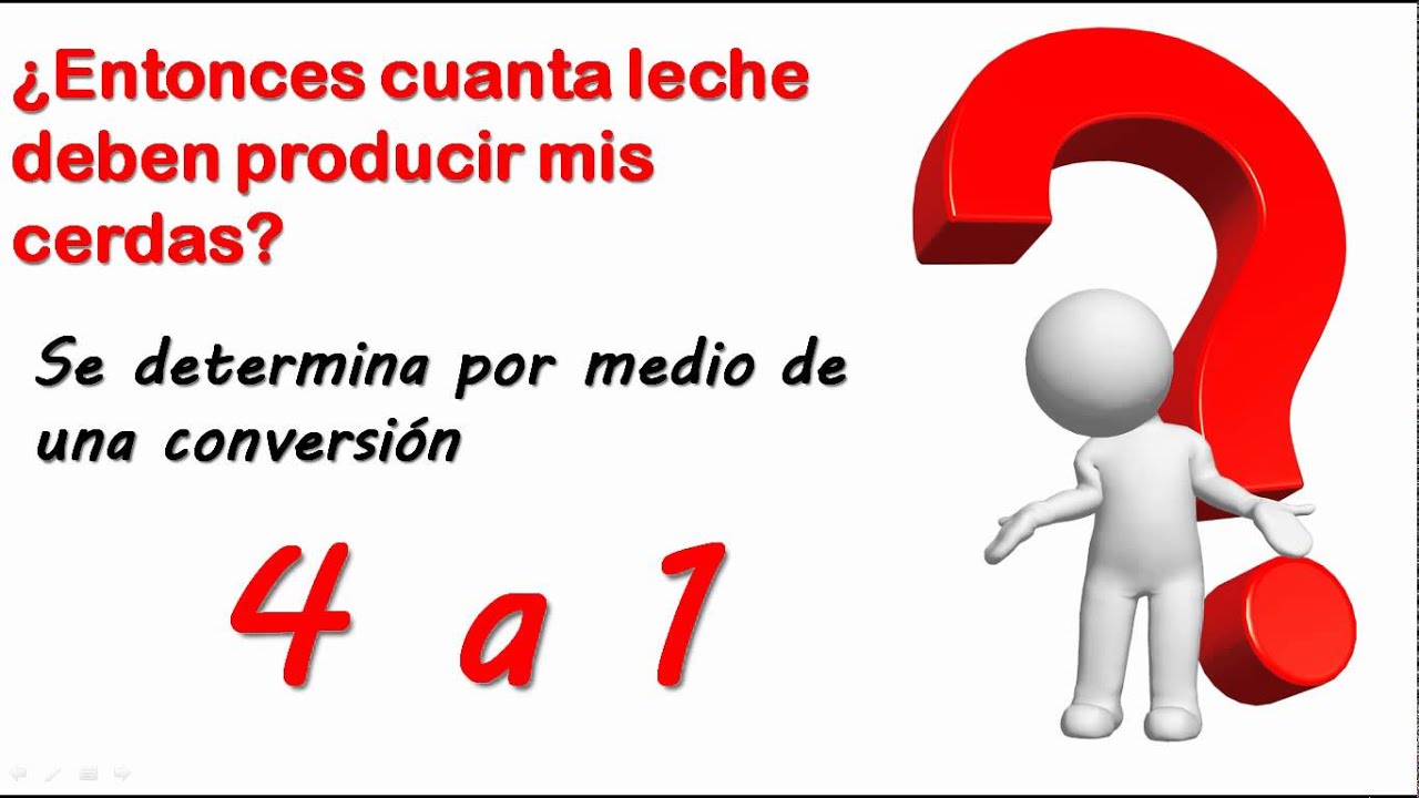 Cuanta leche produce una cerda