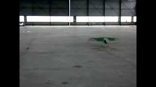 ORNITHOPTER TEST - CONTROL OF DIRECTION