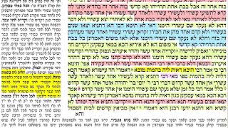 הדף היומי מסכת בכורות דף סא Daf yomi Bechoros Daf 61