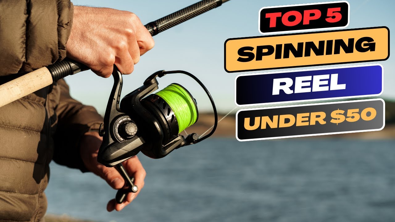 Reeling in Savings: Top 5 Spinning Reels Under $50 for Anglers on a Budget  in 2024 