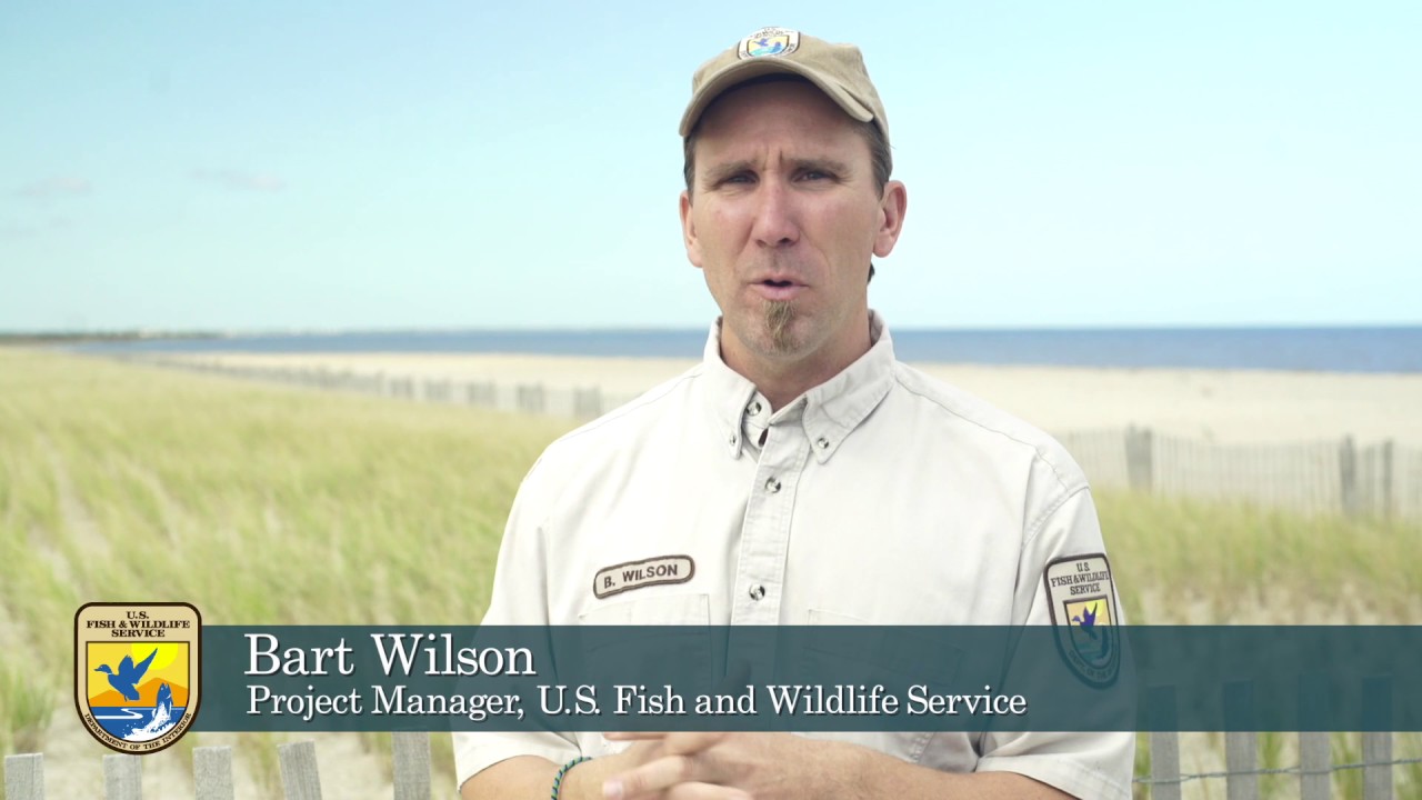 Building a Stronger Coast: Prime Hook National Wildlife Refuge