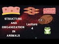 Neet2027 Biology lecture 4