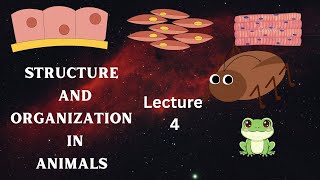 Neet2027 Biology lecture 4