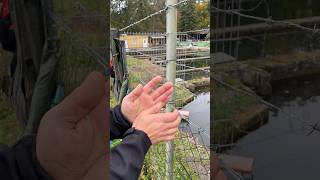 Er hat 15 Stück gefangen 🔥 #angel #fishing #fishingvideos #fish #angelpark