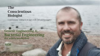 Genetic Engineering 4: Bacterial Engineering (for insulin production)