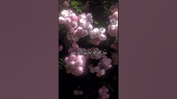 سورة الأنفال آية:33 الشيخ: علي جابر