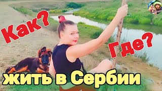 Не ошибись с выбором города в Сербии!!!