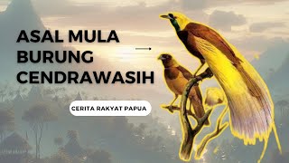 #ceritarakyat Asal Mula Burung Cendrawasih #papua