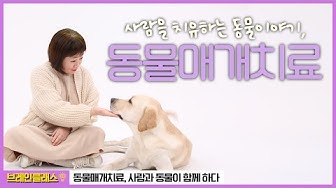 동물매개치료 - Youtube