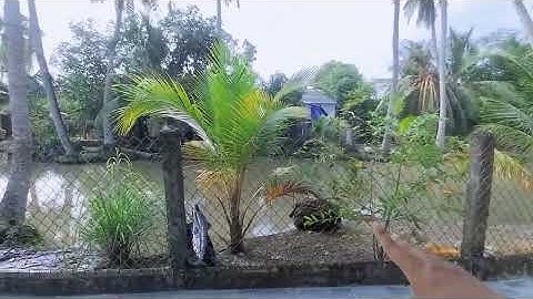 Bán Căn Nhà cấp 4 đường ô tô giá 1.150 tỷ LH 0907198665