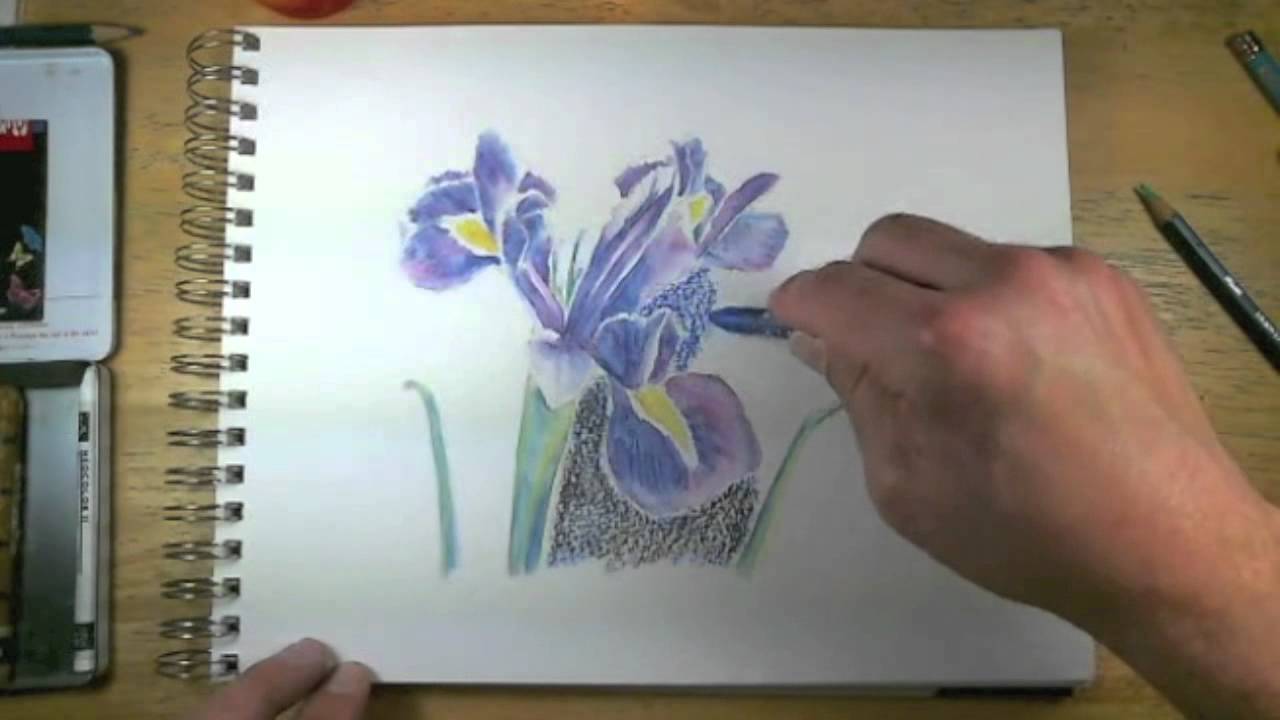 How to Draw with Watercolor Pencils - Live Lesson Excerpts 