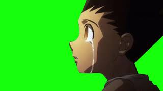 Hunter X Hunter Anime Green Screen Pack