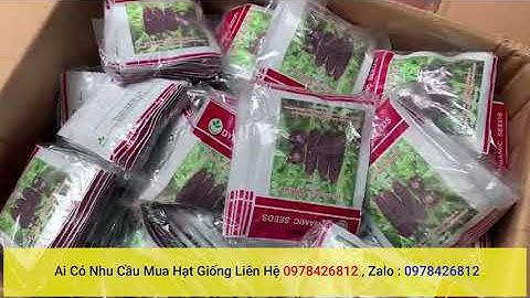 đại lý phân phối và bán lẻ hạt giống ngô nhập khẩu thái lan nguyên bao bì ai cần liên hệ 0978426812