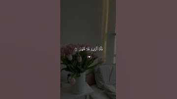 #القران الكريم رفيق قلبي ولسوف يعطيك ربك فترضا❤❤