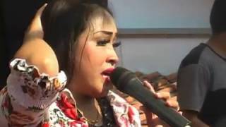 Cibulan Vocal Arti With Gavra Musik