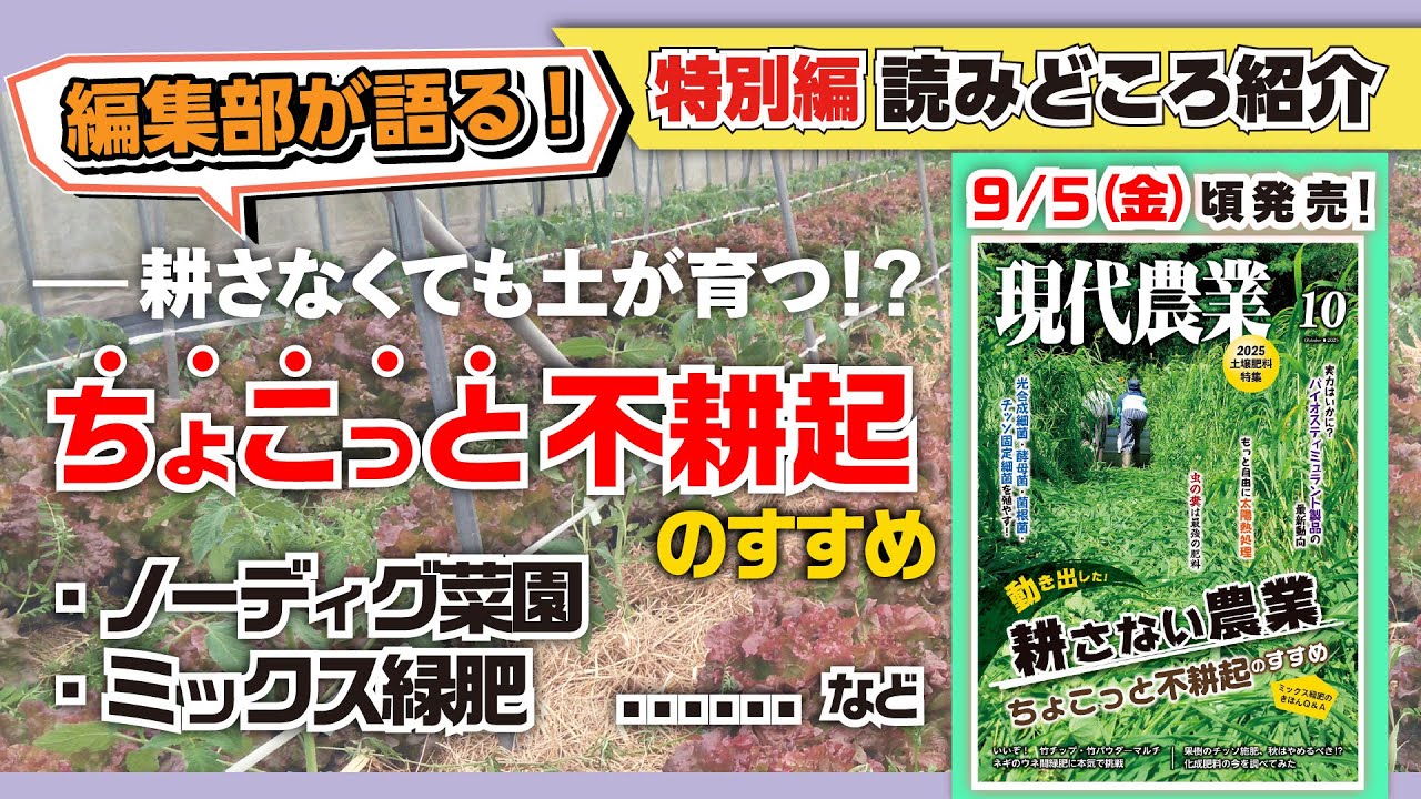【編集部が語る】耕さなくても土が育つ⁉️ちょこっと不耕起のすすめ・・・ノーディグ菜園／ミックス緑肥……など【現代農業VOICE】