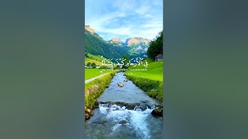 سورة آل عمران الآية 5-6 بصوت القأرى عبد الرحمن مسعد