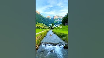 سورة آل عمران الآية 5-6 بصوت القأرى عبد الرحمن مسعد