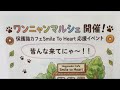 【今日はイベントでーす‼️🙀ちょっと朝配信🐱】Smile to Heart 【譲渡型保護猫カフェ】ねこまる がライブ配信中!