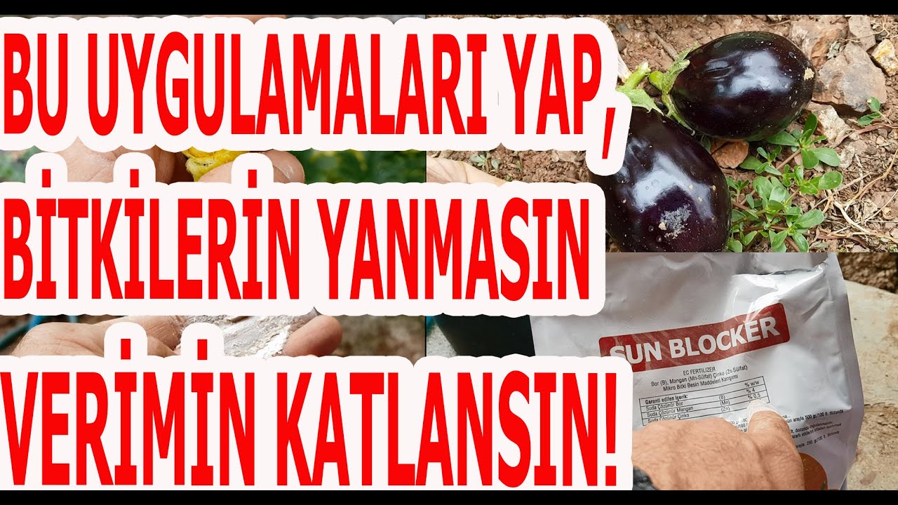 SEBZELERİNİZ VE MEYVELERİNİZ YANMASIN, VERİMLERİ KATLANSIN!