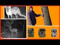 PIEGE PHOTO - Je vous emmène poser un piège photographique - Photo/Vidéo Animalière