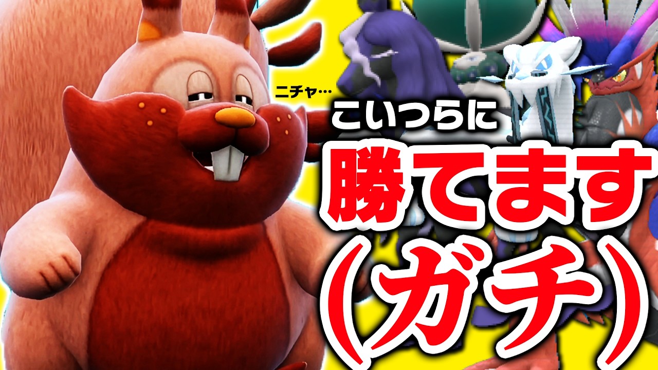 【本当です】ヨクバリス1匹で環境TOPを全部倒しました、、、ええええっっっ！？！？！？【ポケモンSV】