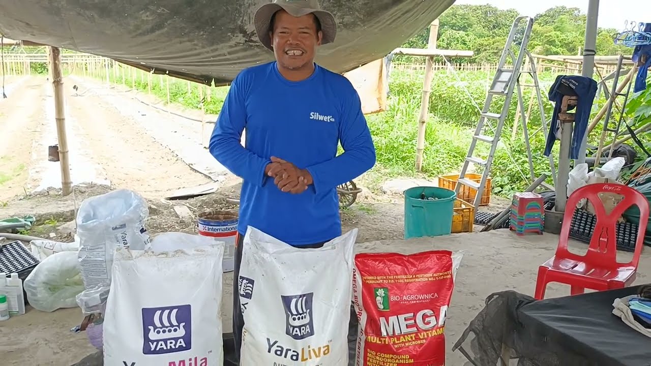 Share ko lang sa Inyo ang mga fertilizer na pwede sa bagong tanim at sa may mga bunga na ito po 👆👆👆