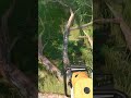 Chainsaw Struggles In Farming Simulator 25 #shorts #farming