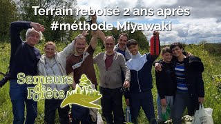 Méthode Miyawaki et la Revitalisation des Forêts : Suivi à Juvignies, 2 Ans Plus Tard