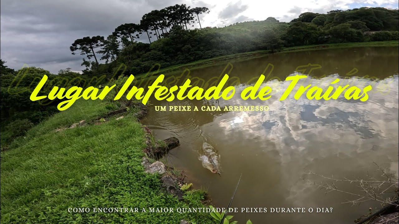 ESSE DIA ENTROU PRA HISTÓRIA | Muito Peixe, Dica e PORRADA na superfície!