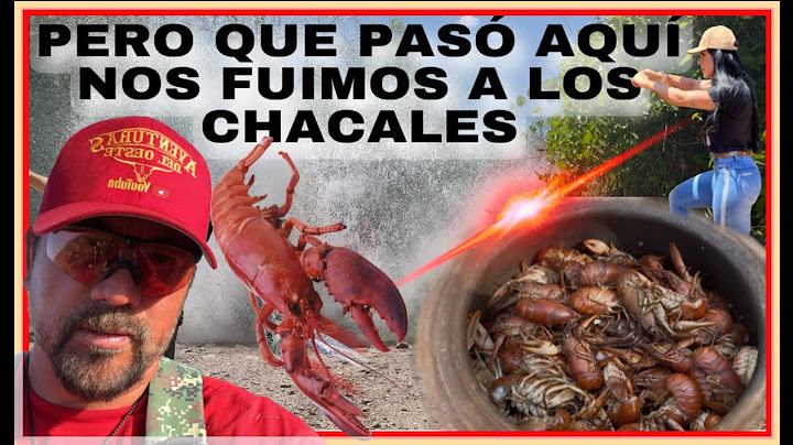 ((I WANT TO INTRODUCE YOU TO PACHITA)) THIS IS HOW WE MADE THESE DELICIOUS JACKALS IN THE BEAR CA...
