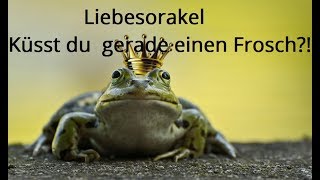 Froschorakel Sei 7 Mal Gequakt Ja Nein Orakel