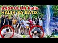 SAGPULON FALLS Kayo na humusga kug Gaano ka GANDA | BRENDA MAGE