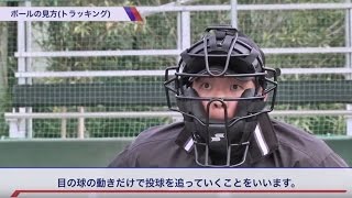 【野球審判かんたん講座】２．投球判定編 by NPB and SSK