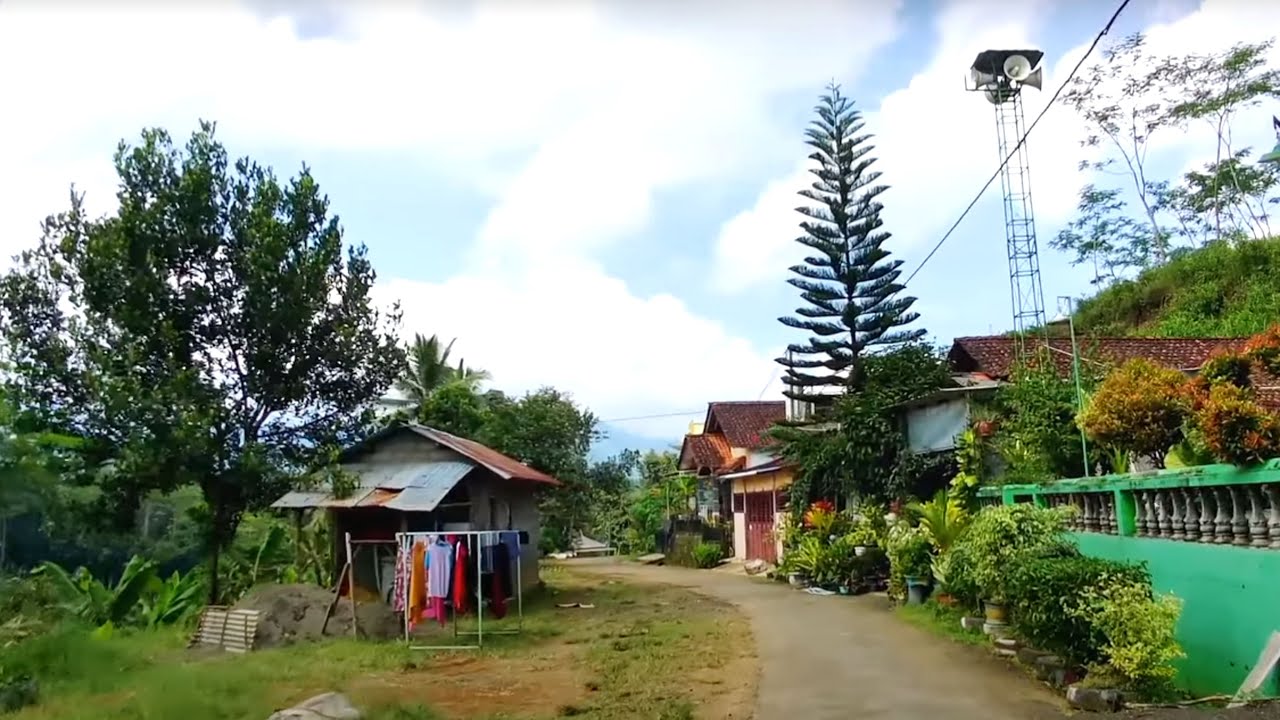 Kampung Teramai Asri dan Sejuk di Kaliwiro, Pedesaan Kemiriombo Kaliwiro Wonosobo Jawa Tengah
