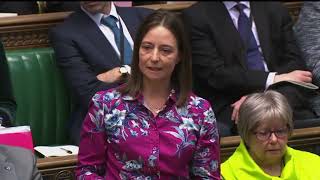 ME/CFS PMQs 2019 | Child Protection Proceedings