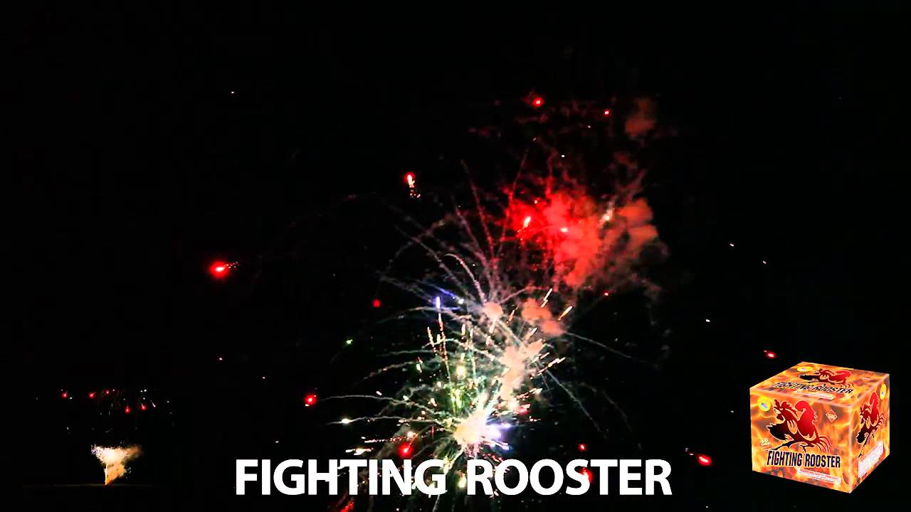 artillery shells fireworks best fighting rooster - World Class - Kracklin Kirks