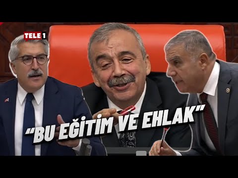 CHP'li vekil "Sataşma var" dedi Sırrı Süreyya Önder gülerek düzeltti: Vanlılar işe uyanmadı