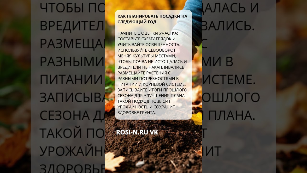 Как планировать посадки на следующий год