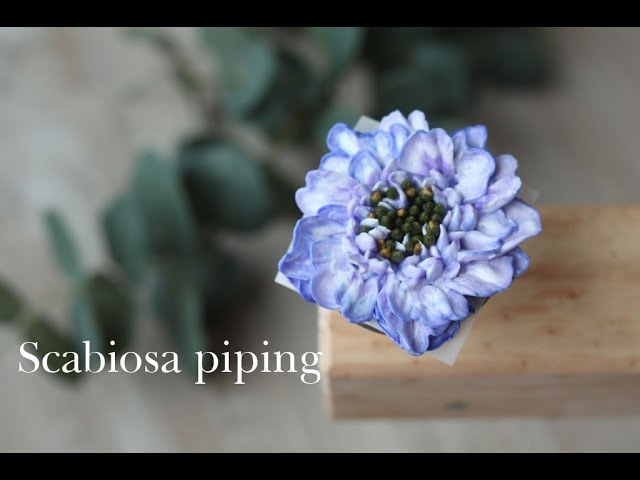 [버터크림플라워케이크]스카비오사 파이핑(Buttercream Flower Cake Scabiosa piping)