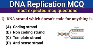 DNA Replication MCQ || DNA Replication MCQ || Genetics mcq Questions