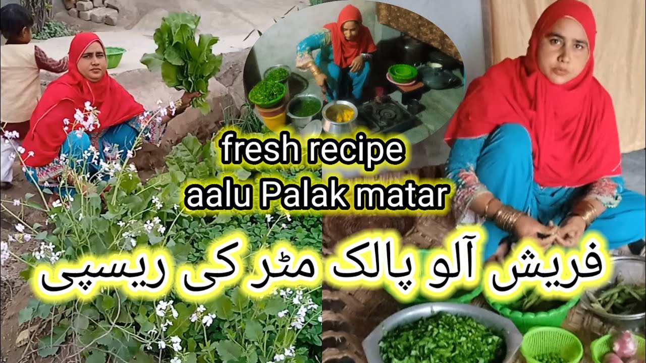 Hamara Shyam Ka khana, fresh recipe aloo Palak matar, recipe blogs,#MuqadarFamilyVLOGs
