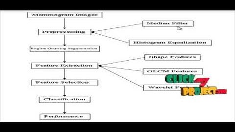 Final Year Projects | An Automatic Mass Detection System in Mammograms