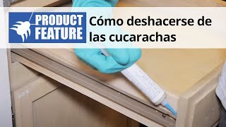 Un programa eficaz de control de cucarachas