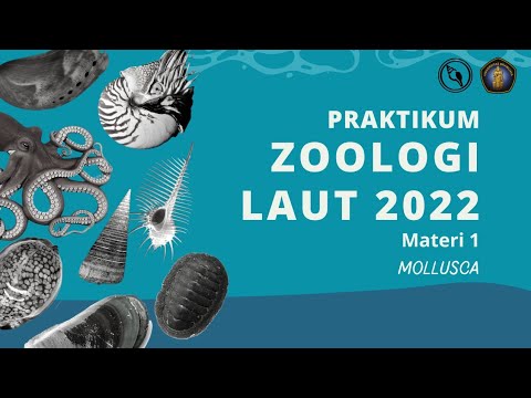 Video: Apa itu Detorsi dalam zoologi?